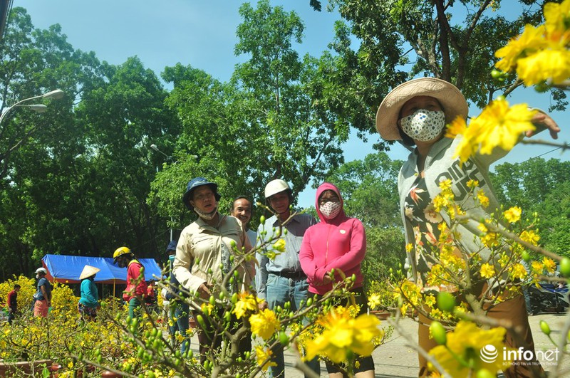 TP.HCM: Xả hàng ngày cuối cùng năm cũ, cây cảnh tết rẻ giật mình - ảnh 9