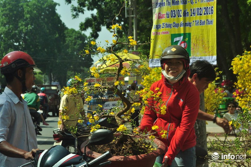 TP.HCM: Xả hàng ngày cuối cùng năm cũ, cây cảnh tết rẻ giật mình - ảnh 14