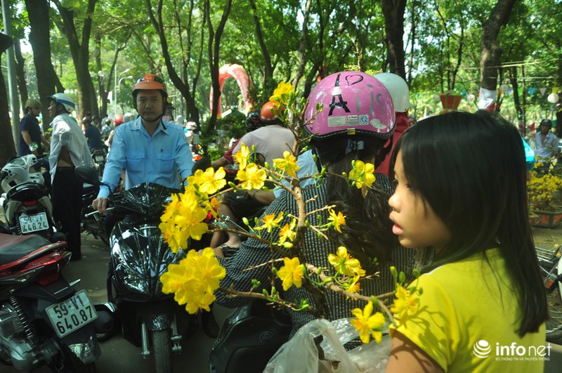 TP.HCM: Xả hàng ngày cuối cùng năm cũ, cây cảnh tết rẻ giật mình - ảnh 12