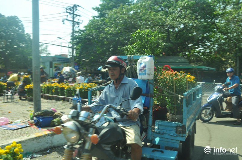 TP.HCM: Xả hàng ngày cuối cùng năm cũ, cây cảnh tết rẻ giật mình - ảnh 15