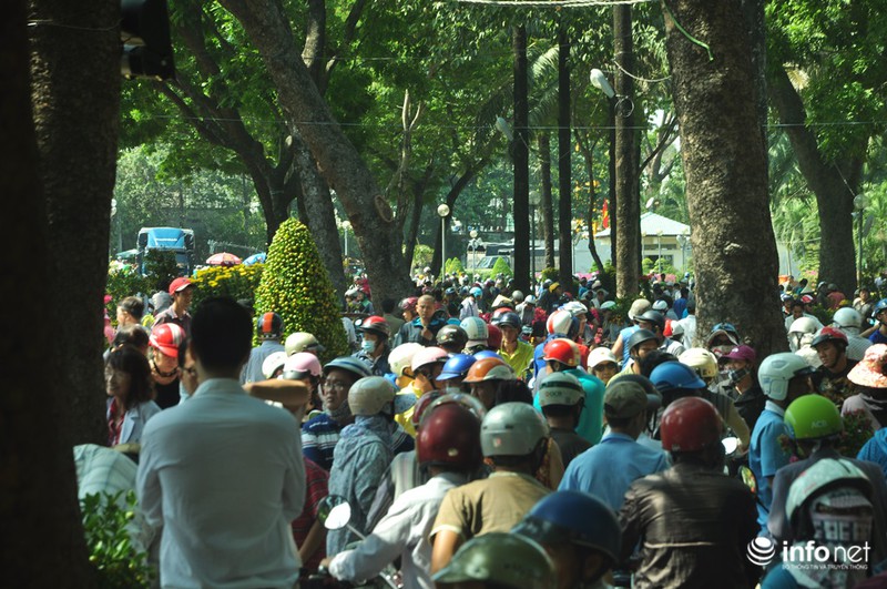 TP.HCM: Xả hàng ngày cuối cùng năm cũ, cây cảnh tết rẻ giật mình - ảnh 2