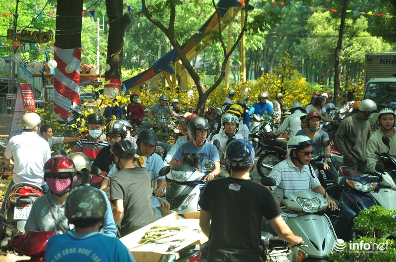 TP.HCM: Xả hàng ngày cuối cùng năm cũ, cây cảnh tết rẻ giật mình - ảnh 3