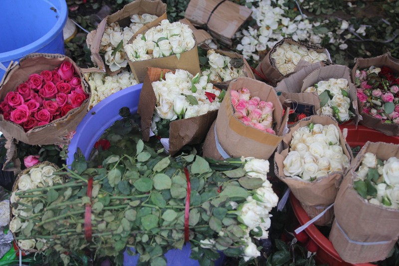 Hậu 8/3, hàng tấn hoa hồng thành rác ở chợ hoa lớn nhất Sài Gòn - ảnh 5