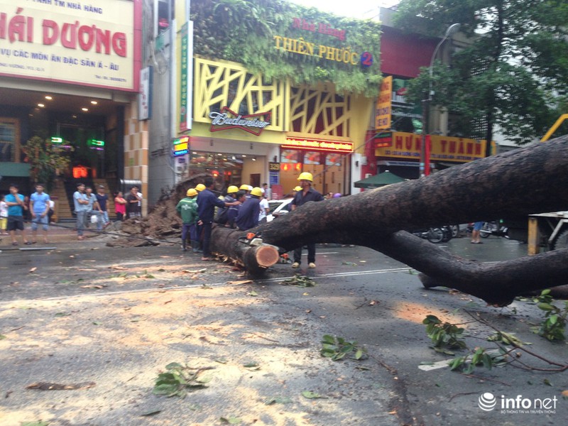Mưa gió quật ngã cây cổ thụ đổ trúng 1 người và 5 xe máy,1 ô tô - ảnh 3