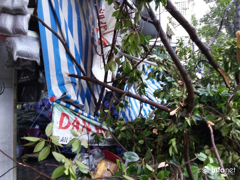 Mưa gió quật ngã cây cổ thụ đổ trúng 1 người và 5 xe máy,1 ô tô - ảnh 5