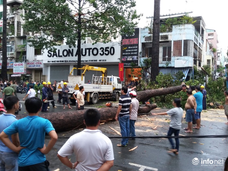 Mưa gió quật ngã cây cổ thụ đổ trúng 1 người và 5 xe máy,1 ô tô - ảnh 6