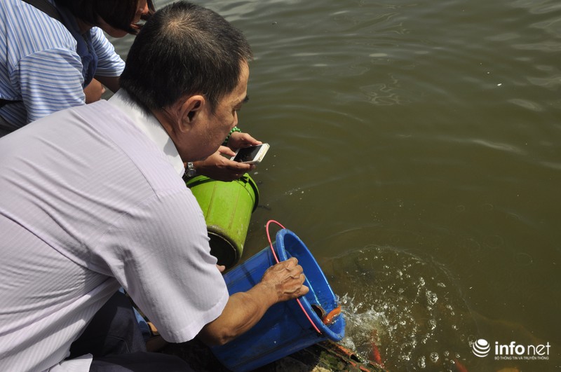 Người dân lội sông Sài Gòn cứu cá chép, tránh bị vợt, chích điện - ảnh 7