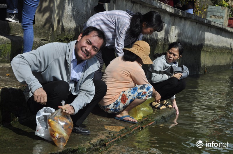Người dân lội sông Sài Gòn cứu cá chép, tránh bị vợt, chích điện - ảnh 6
