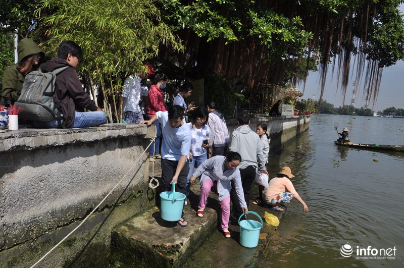 Người dân lội sông Sài Gòn cứu cá chép, tránh bị vợt, chích điện - ảnh 1