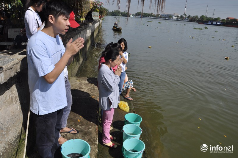 Người dân lội sông Sài Gòn cứu cá chép, tránh bị vợt, chích điện - ảnh 5
