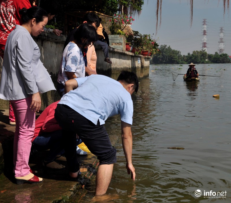 Người dân lội sông Sài Gòn cứu cá chép, tránh bị vợt, chích điện - ảnh 14