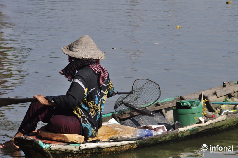 Người dân lội sông Sài Gòn cứu cá chép, tránh bị vợt, chích điện - ảnh 15