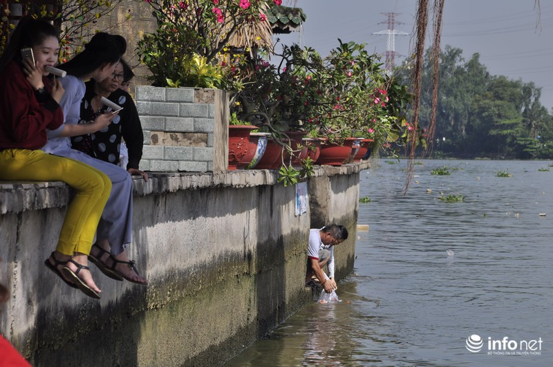 Người dân lội sông Sài Gòn cứu cá chép, tránh bị vợt, chích điện - ảnh 10