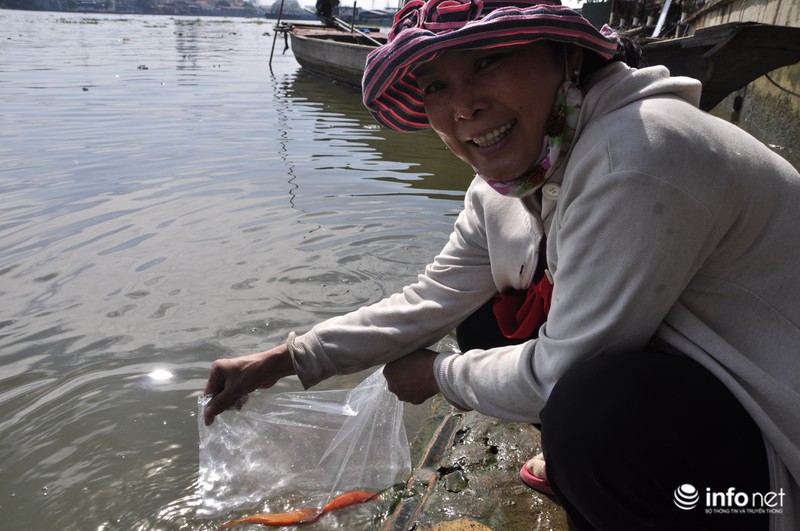 Người dân lội sông Sài Gòn cứu cá chép, tránh bị vợt, chích điện - ảnh 11