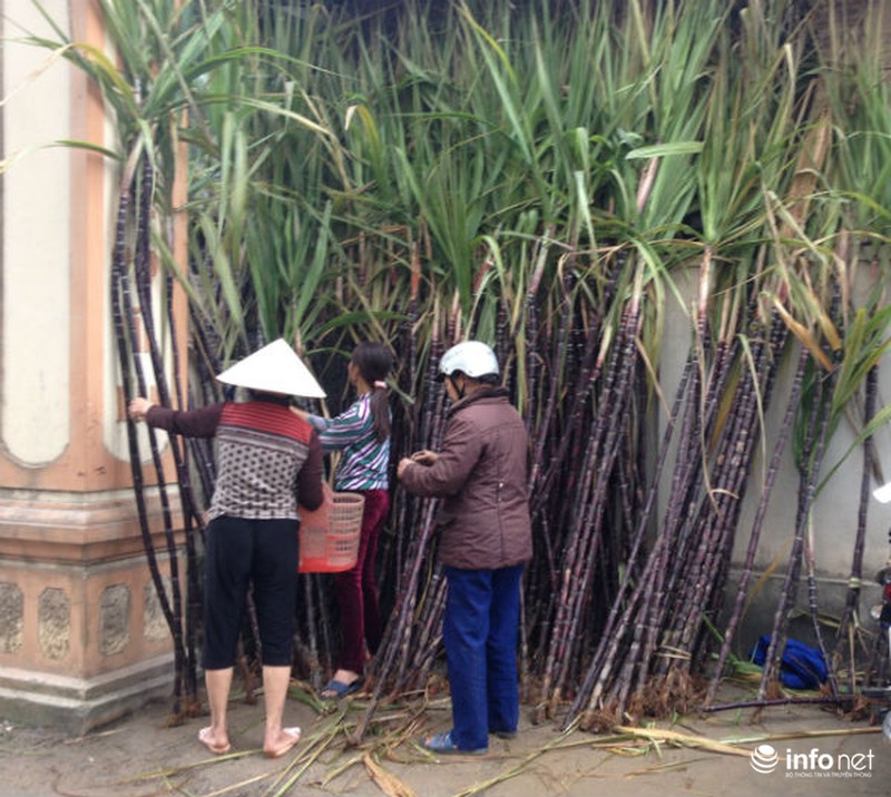 Rộn ràng phiên chợ quê ngày Tết - ảnh 18