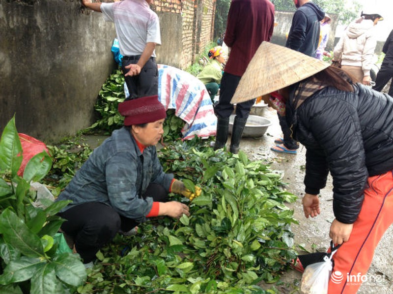 Rộn ràng phiên chợ quê ngày Tết - ảnh 16