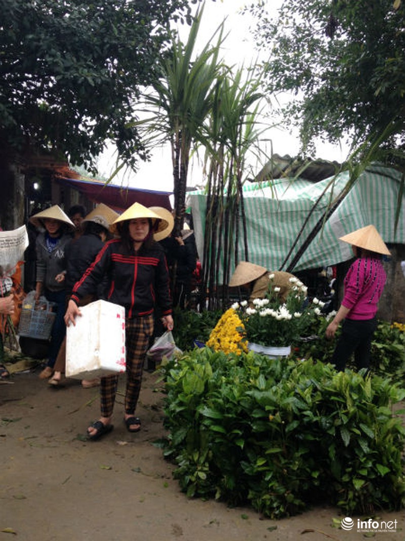 Rộn ràng phiên chợ quê ngày Tết - ảnh 17
