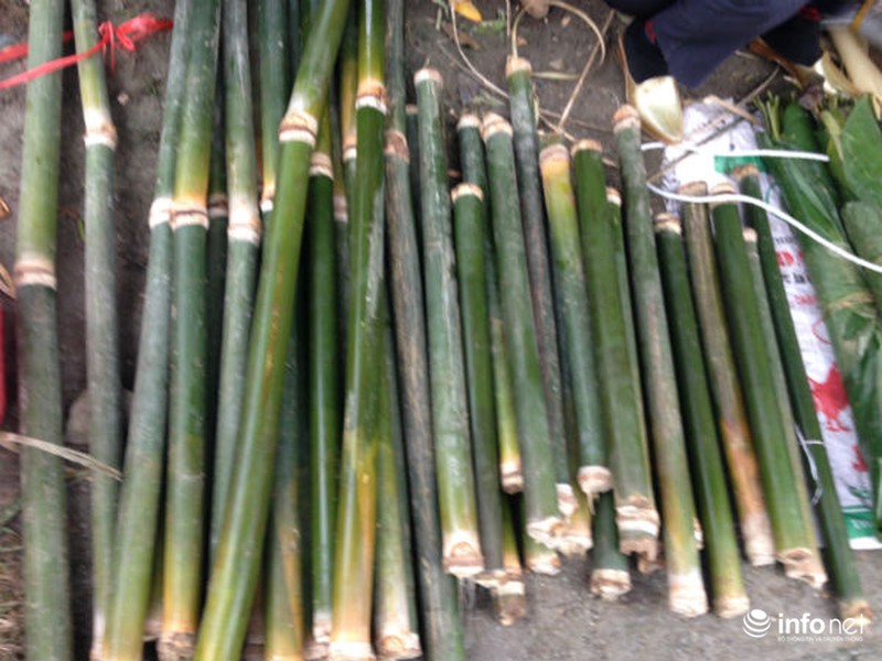 Rộn ràng phiên chợ quê ngày Tết - ảnh 2