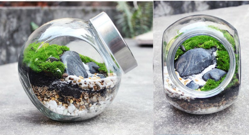 Nữ kiến trúc sư bỏ việc nhà nước, kiếm 40 triệu/tháng từ cây cảnh mini - ảnh 4