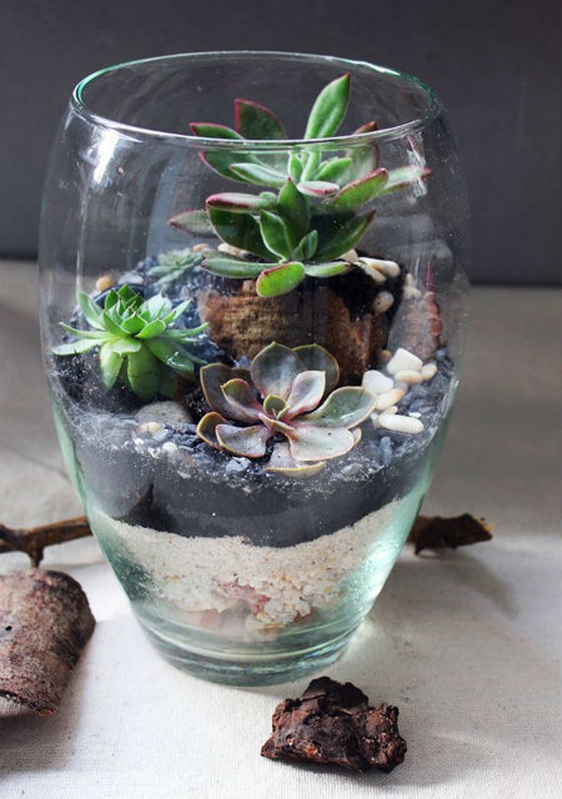 Nữ kiến trúc sư bỏ việc nhà nước, kiếm 40 triệu/tháng từ cây cảnh mini - ảnh 12