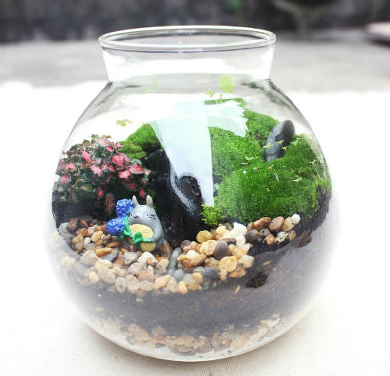 Nữ kiến trúc sư bỏ việc nhà nước, kiếm 40 triệu/tháng từ cây cảnh mini - ảnh 13