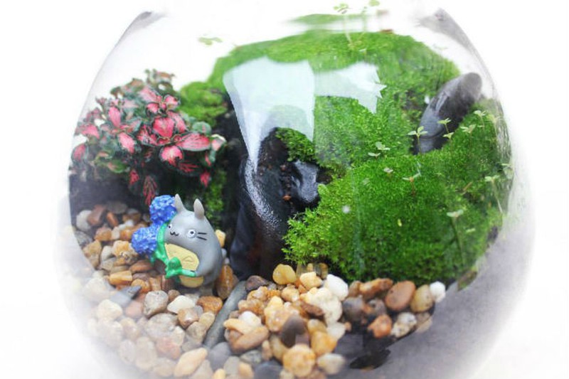 Nữ kiến trúc sư bỏ việc nhà nước, kiếm 40 triệu/tháng từ cây cảnh mini - ảnh 8