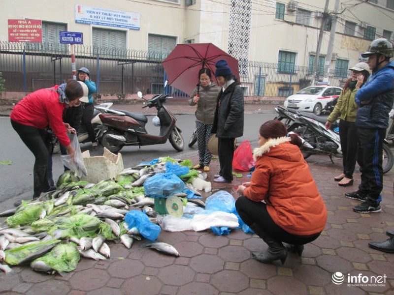 Người Hà Nội chung tay