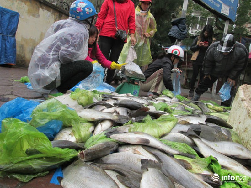 Người Hà Nội chung tay