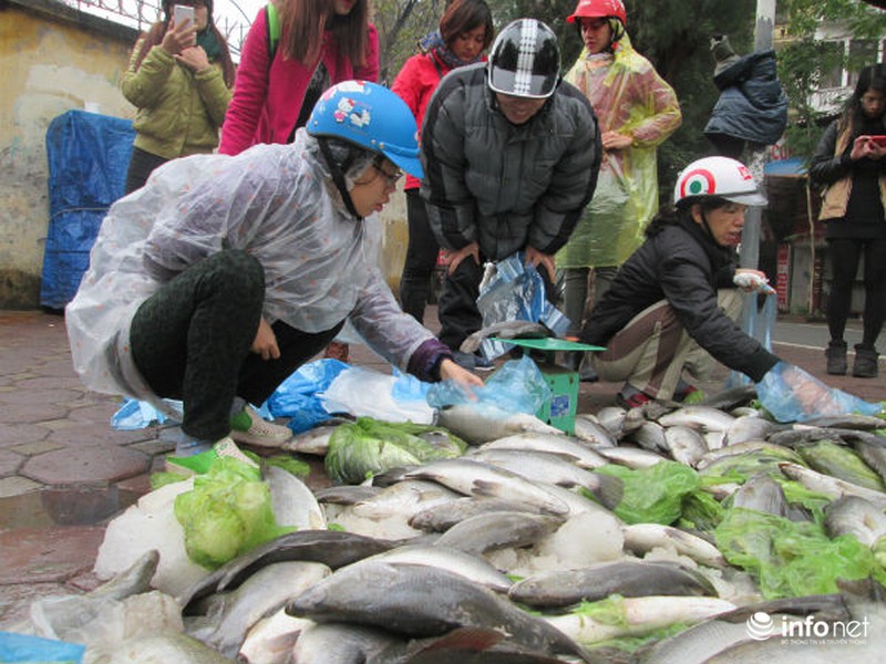 Người Hà Nội chung tay