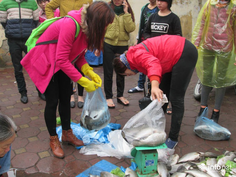 Người Hà Nội chung tay