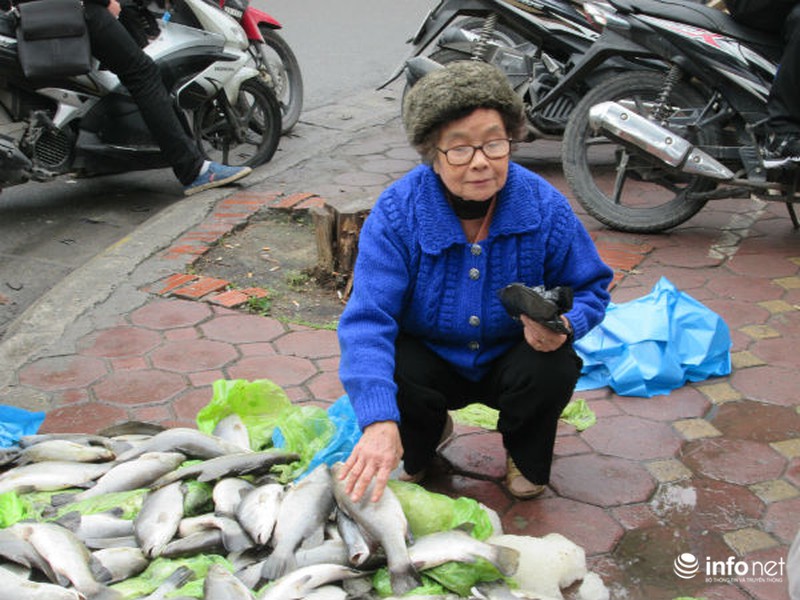 Người Hà Nội chung tay