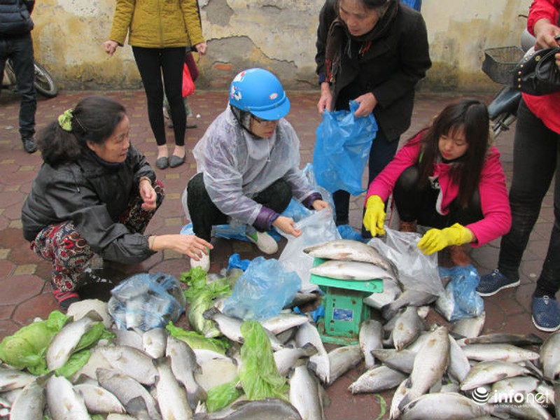 Người Hà Nội chung tay