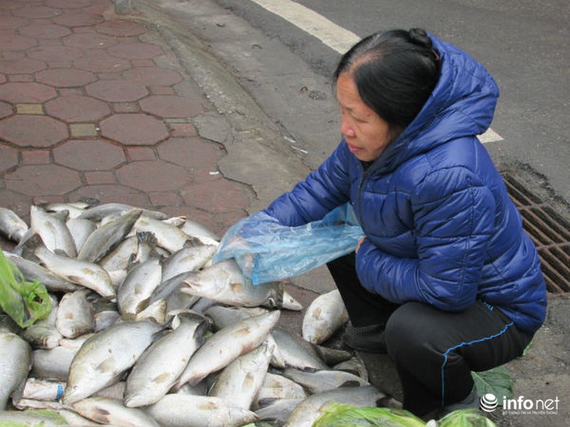 Người Hà Nội chung tay