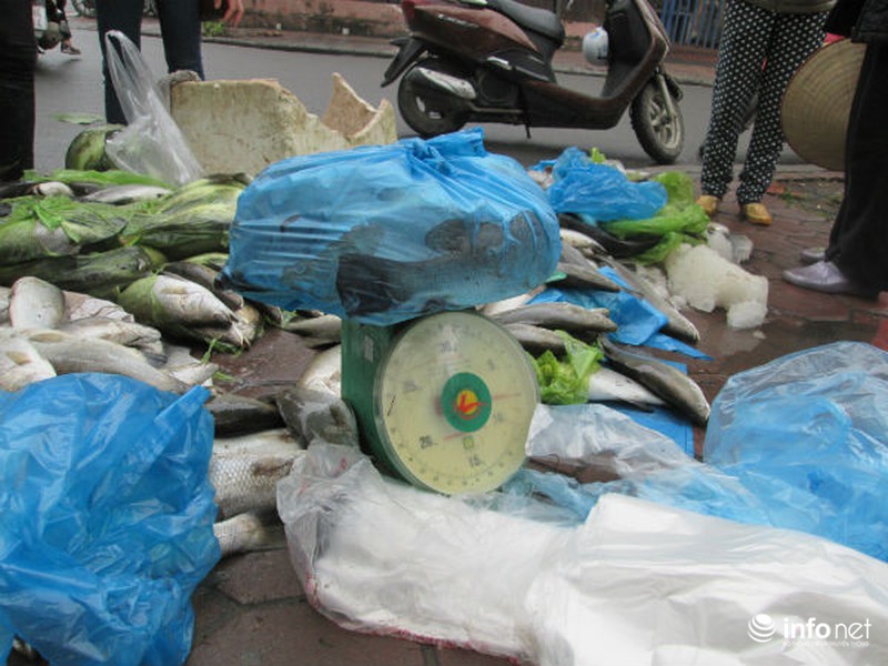 Người Hà Nội chung tay