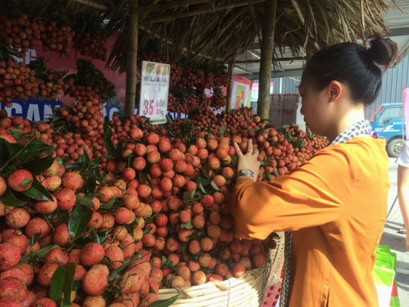 Vải thiều Lục Ngạn chính hiệu đã có mặt tại Hà Nội - ảnh 6