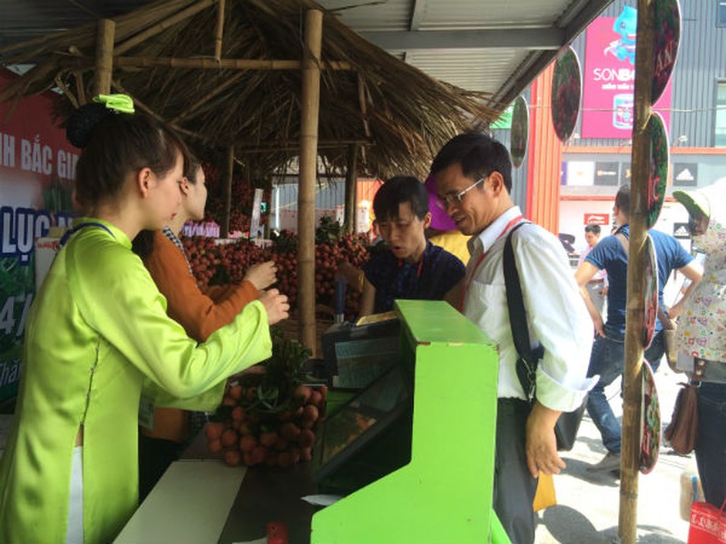 Vải thiều Lục Ngạn chính hiệu đã có mặt tại Hà Nội - ảnh 5