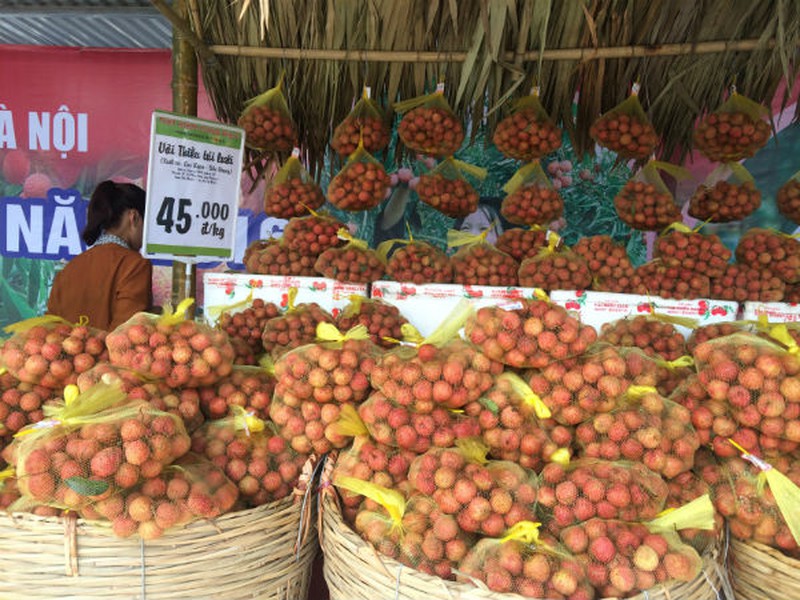 Vải thiều Lục Ngạn chính hiệu đã có mặt tại Hà Nội - ảnh 2