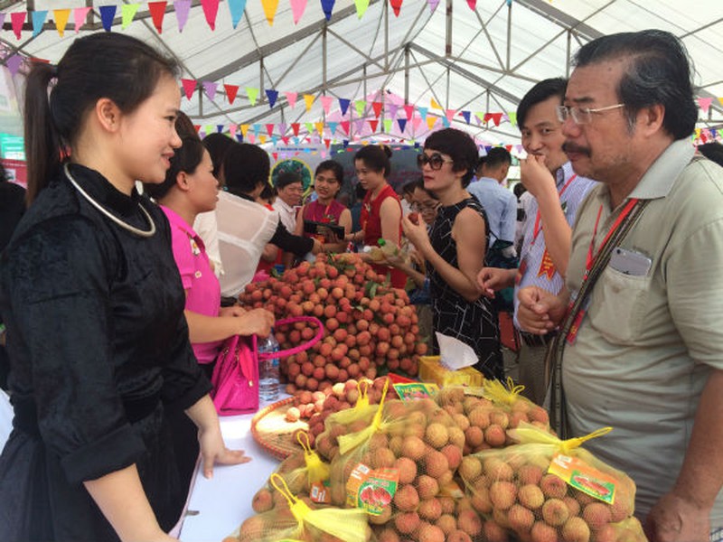 Vải thiều Lục Ngạn chính hiệu đã có mặt tại Hà Nội - ảnh 1