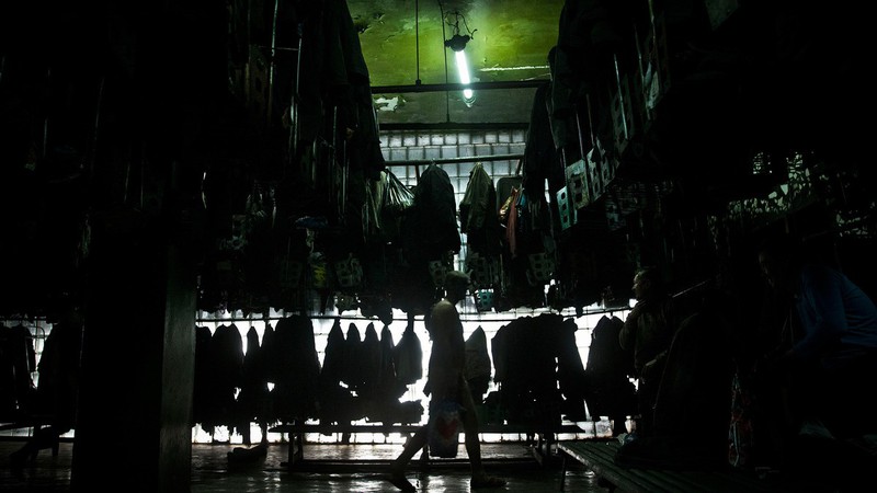 Ukraine: Khoảng lặng yên bình hiếm có ở vùng xung đột - ảnh 4