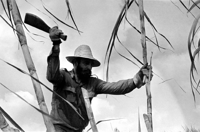 Cuộc đời cựu Chủ tịch Cuba Fidel Castro qua ảnh - ảnh 10