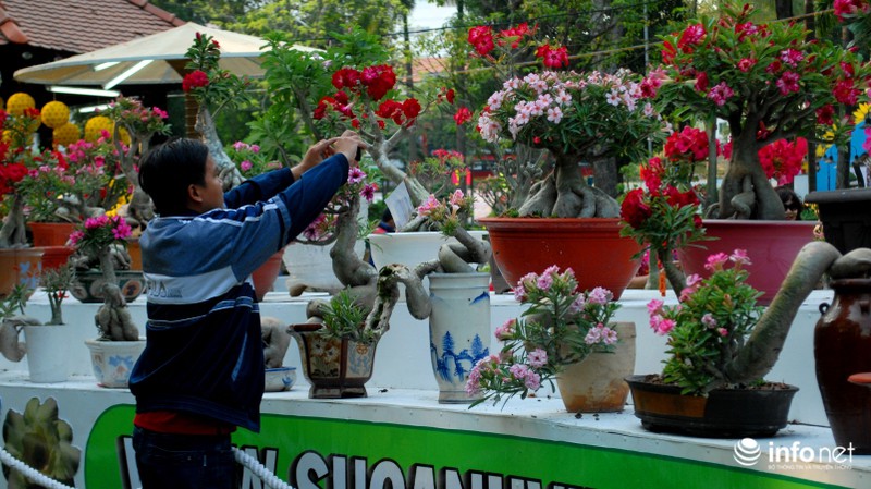 Quân đội kiểm tra gắt gao trước giờ khai mạc Hội hoa xuân - ảnh 6