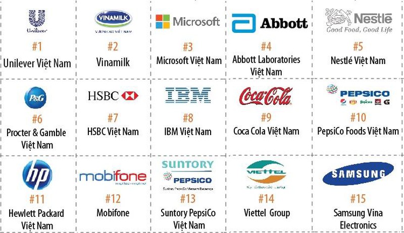100 nơi làm việc tốt nhất Việt Nam năm 2015 - ảnh 1