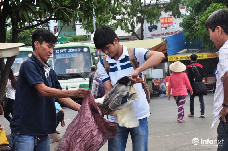 “Rồng rắn” trở lại Sài Gòn sau kỳ nghỉ dài - ảnh 2