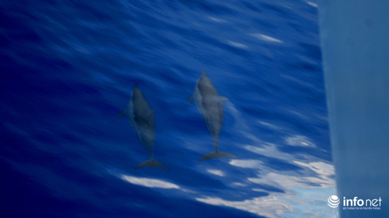 Hình ảnh 10 ngày đêm không thể quên tại quần đảo Trường Sa - ảnh 18