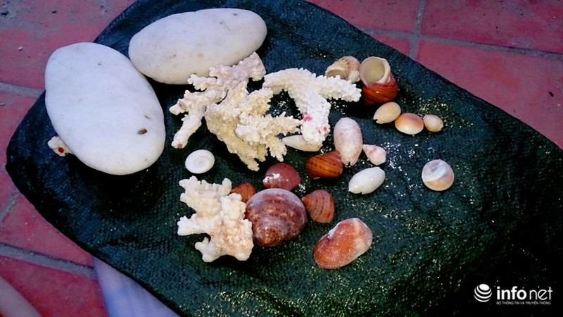 Bất ngờ với hình ảnh mới nhất về