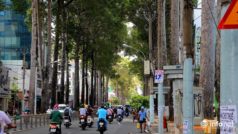 Làm đơn xin chặt cây, bị đề nghị dỡ một phần nhà vì lấn chiếm vỉa hè - ảnh 11