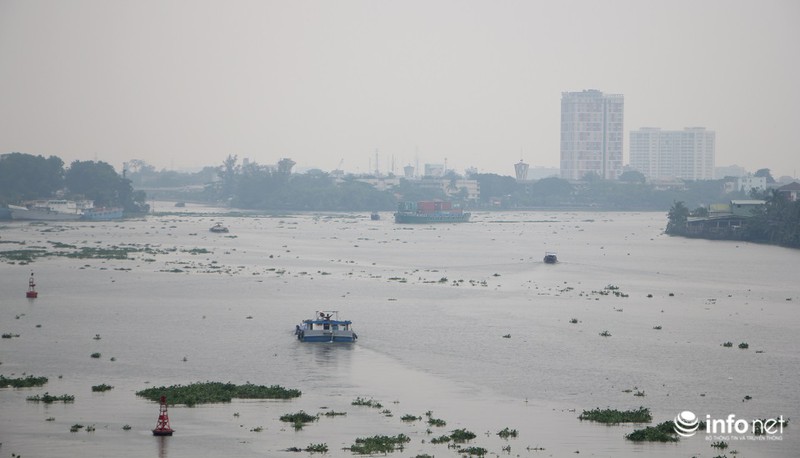 Sương mù nhẹ bất ngờ phủ kín TP.HCM - ảnh 9