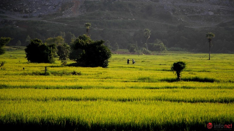 Cảnh yên bình như tranh vẽ dưới chân núi Bà Đen - Tây Ninh - ảnh 6