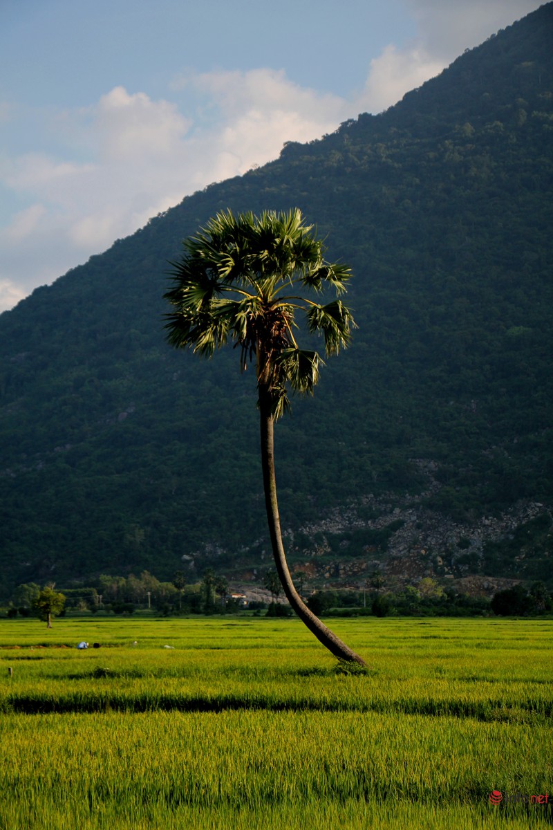 Núi Bà Đen: Hãy khám phá hình ảnh độc đáo và kỳ vĩ của Núi Bà Đen - một trong những ngọn núi nổi tiếng nhất miền Nam Việt Nam, với lịch sử và thắng cảnh hấp dẫn. Đắm mình trong khung cảnh hùng vĩ và tìm hiểu về nền văn hóa đậm chất tâm linh miền Nam.