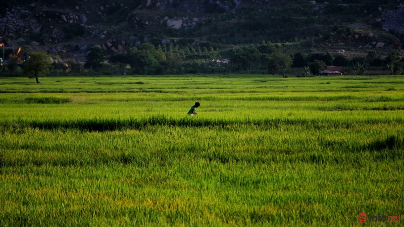 Cảnh yên bình như tranh vẽ dưới chân núi Bà Đen - Tây Ninh - ảnh 11